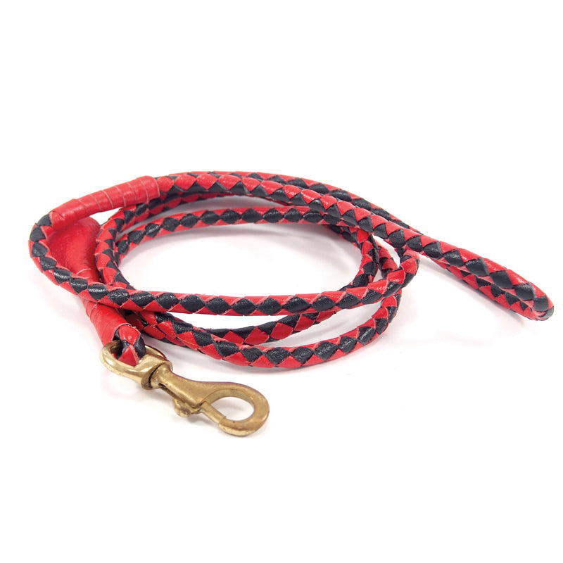 Carnival Lead - navy+red - Georgie Paws