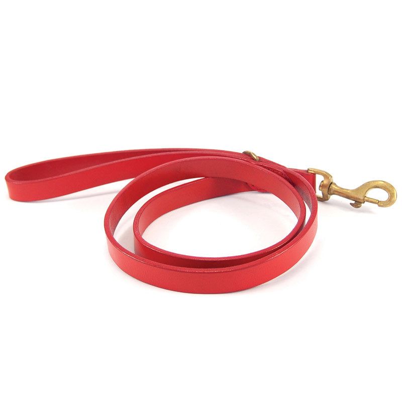 A Bald Lead Red dog leash with a gold-colored metal clasp, coiled and isolated on a white background, by Georgie Paws.