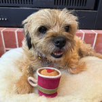 A small brown terrier lies on a fluffy white cushion by a brick fireplace, glancing left with its scruffy coat and open mouth. In front is its first toy, the Georgie Paws Baby Chino Toy—a plush coffee cup with a red heart design.