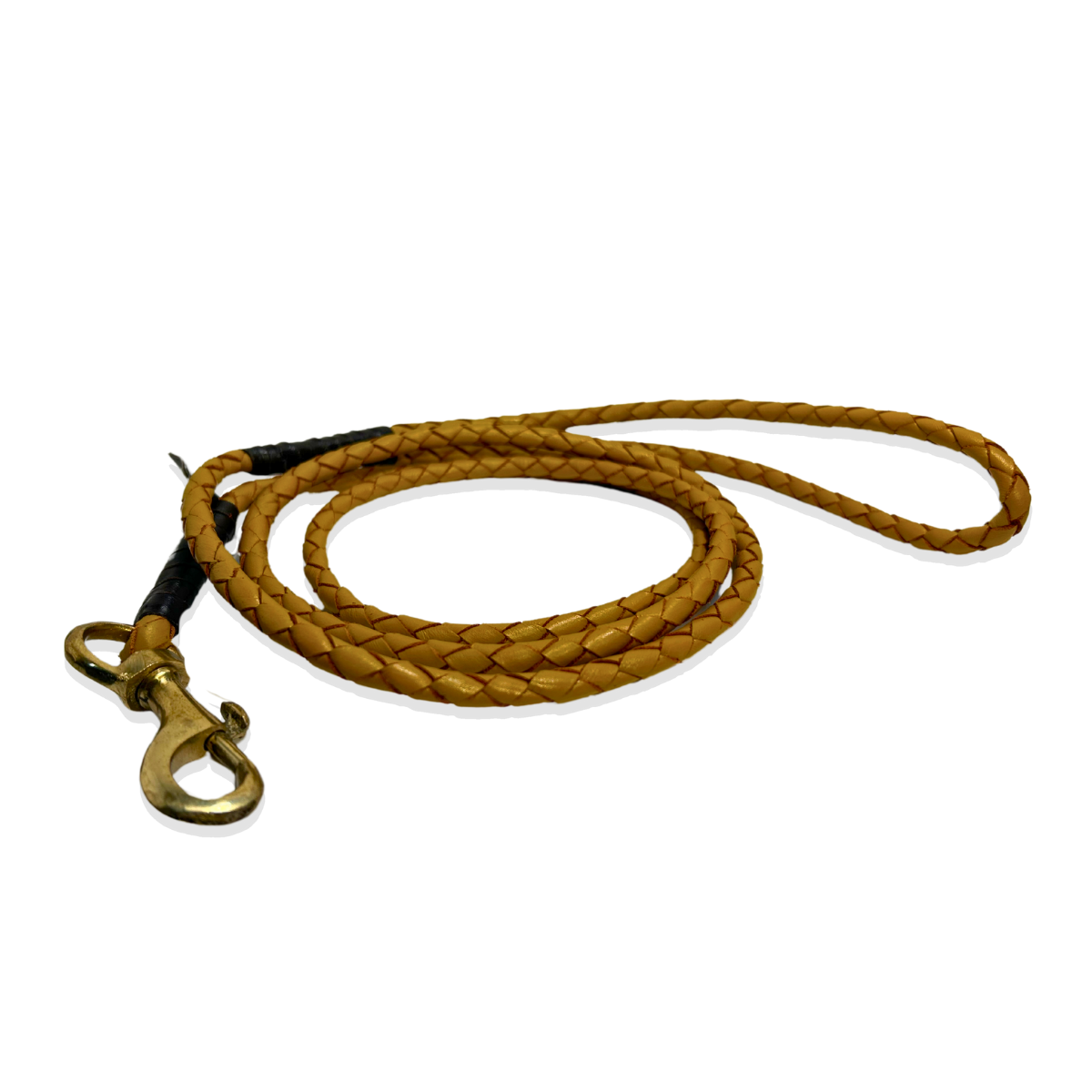 The Georgie Paws Windsor Lead - Wheat is a coiled, light brown braided buffalo leather dog leash with aged brass hardware, sturdy clasp, and loop handle, shown against a white background.