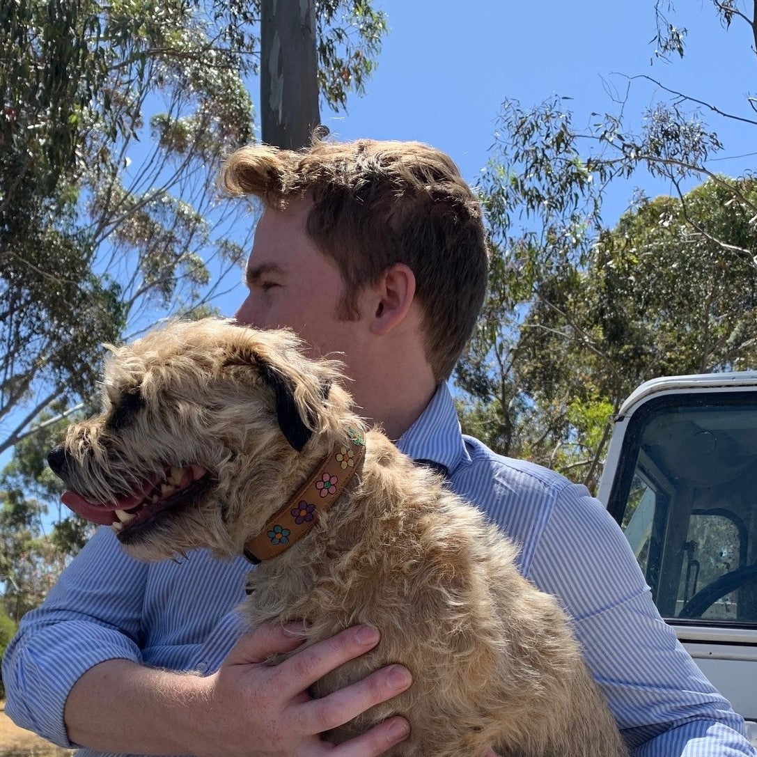 A person with short brown hair in a light blue striped shirt holds a fluffy brown dog wearing the Georgie Paws Botanic Fleur Collar. They are outdoors near eucalyptus trees, with a white vehicle partially visible under a clear blue sky.