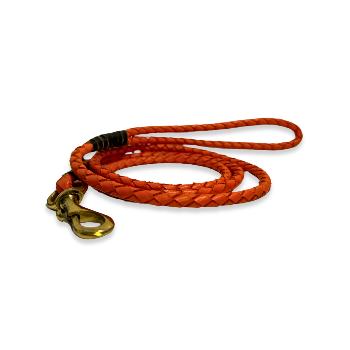 The Georgie Paws Windsor Lead - Ochre is a coiled, orange braided buffalo leather dog leash with aged brass hardware, metallic clasp, and loop handle, shown on a white background.