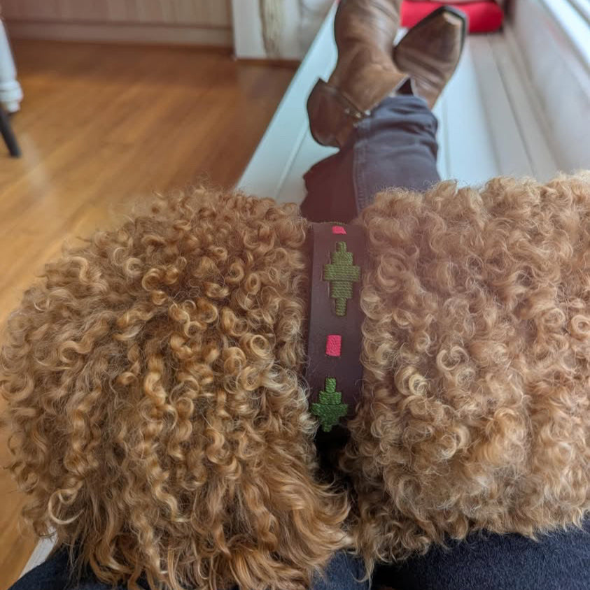 A curly-haired dog wears the Georgie Paws Polo Collar - Myrtle, featuring green cactus patterns and durable brass hardware, while resting its head on someone's lap. The person is in dark jeans and brown boots, seated on a white surface next to a wooden floor.