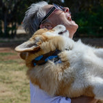 An elated person and their fluffy corgi, adorned in a Georgie Paws Polo Collar - Stubble, share a joyful moment outdoors as the dog playfully leans back into the person's arms, both basking in.