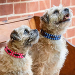 Two small, fluffy beige dogs sit on a wooden bench. The left dog wears a pink patterned collar paired with the Georgie Paws Polo Lead - Pinky, while the right sports a blue patterned collar. Both look upwards with interest against a red brick wall backdrop.