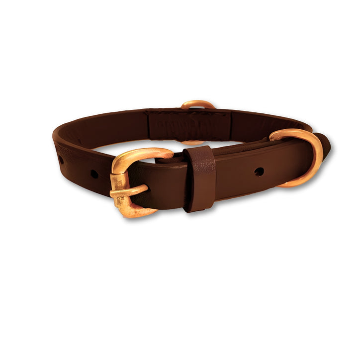 The Bald Collar - Chicory by Georgie Paws is a brown buffalo leather dog collar with an antique brass buckle and D-ring, smooth finish, multiple adjustment holes, and a belt loop for securing the strap, all set against a white background.