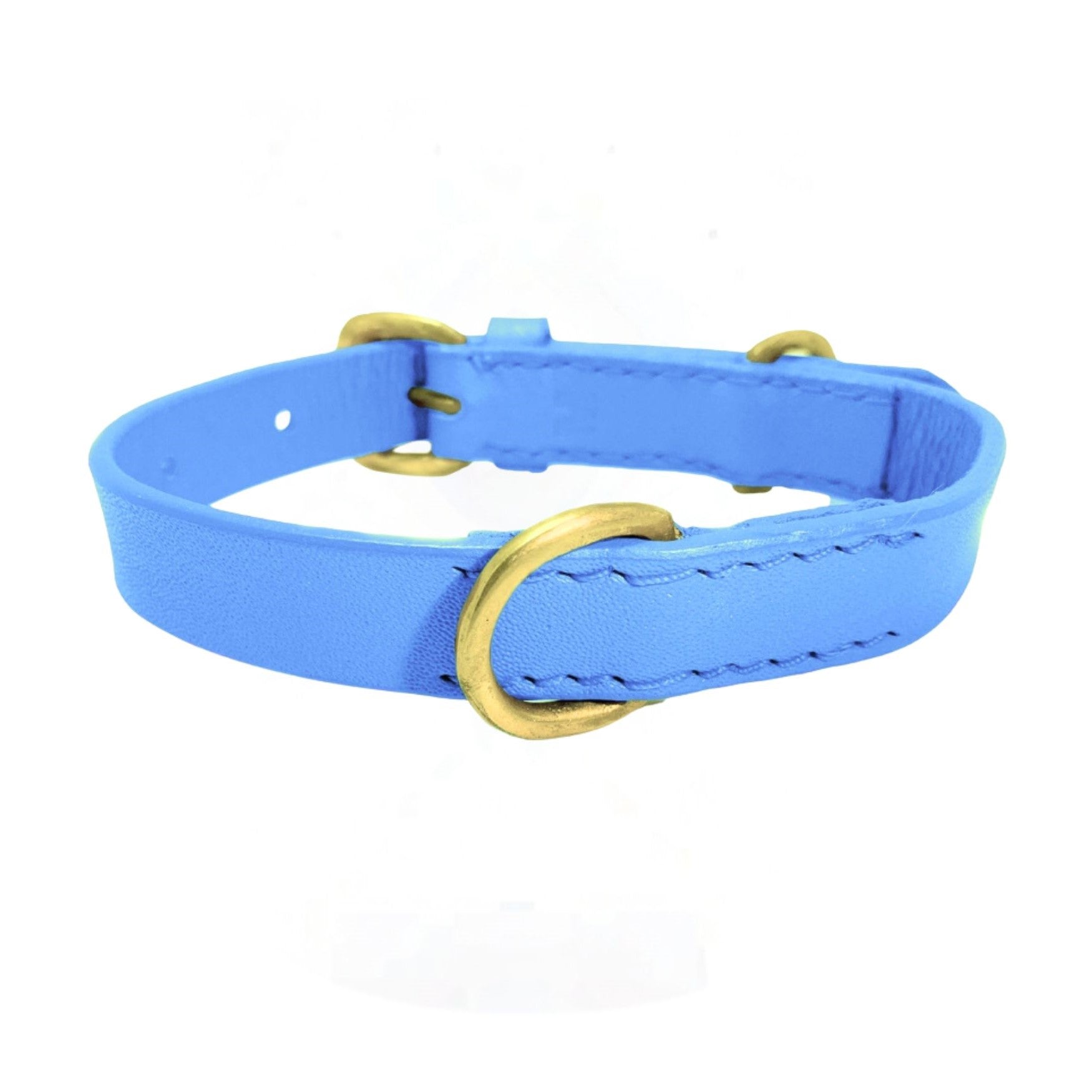 A vibrant blue Georgie Paws leather collar with golden hardware, showcasing a classic buckle closure and clean stitch detailing, isolated on a white background.