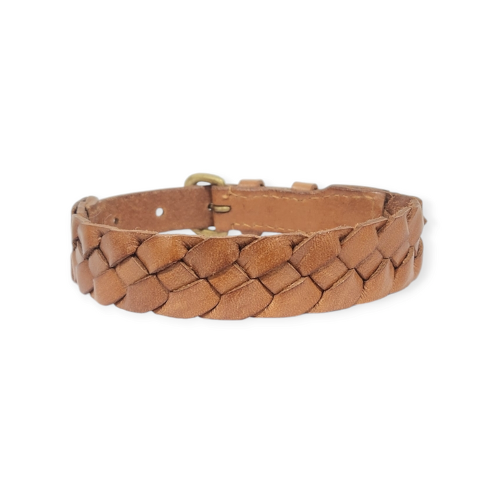 Tan hand-plaited buffalo leather dog collar showing braided texture and brass hardware on white background — Georgie Paws Casey Collar in Tan