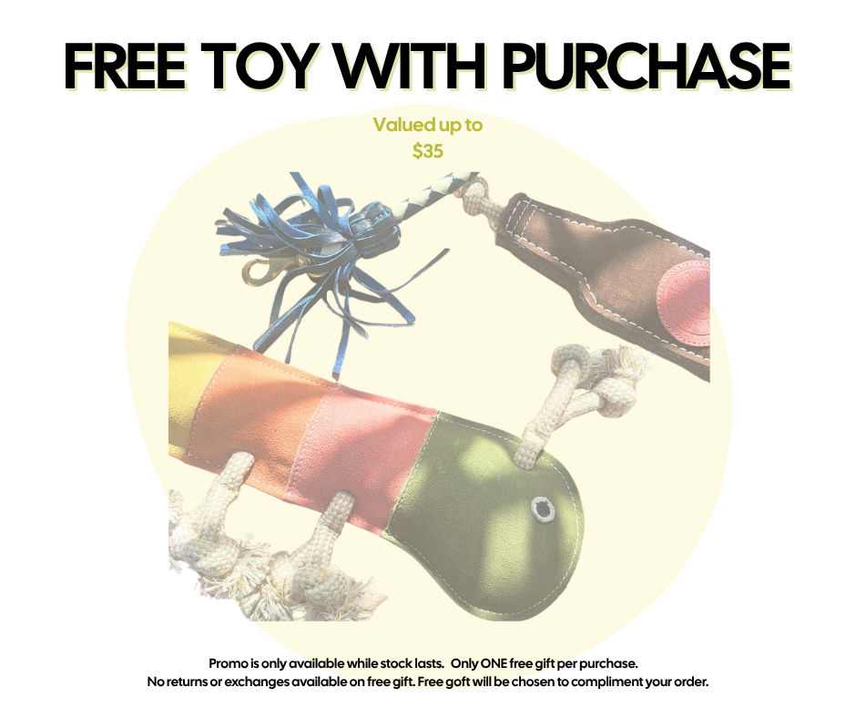A promo ad for the Georgie Paws "Strut Your Stuff" June Bundle: Free Chew Toy, featuring colorful, eco-friendly fabric and rope toys. Text: "FREE TOY WITH PURCHASE, up to $35 value." While supplies last; one per purchase; no returns/exchanges on gift.