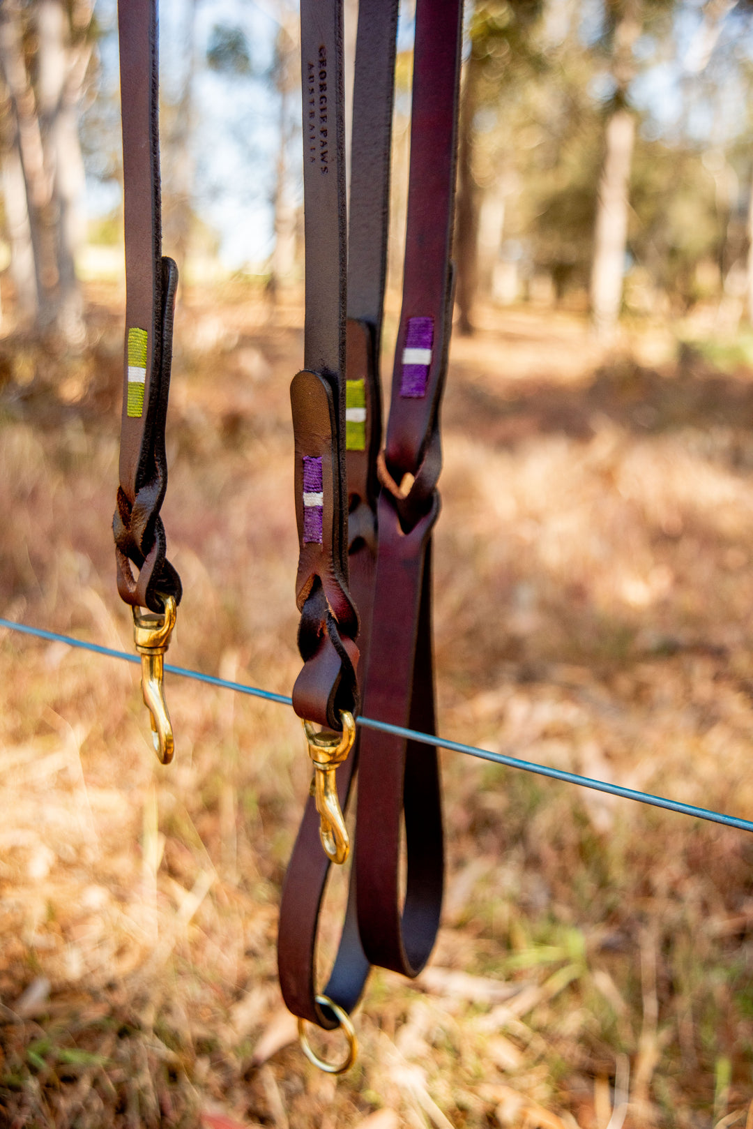 Three Georgie Paws Polo Lead Lockers in green, yellow, and purple hang on a wire amidst woods. Made of buffalo leather with antique brass hardware and hand-stitched near the clasp, they contrast the rich brown. Blurred trees and dry grass bask in sunlight as the background.