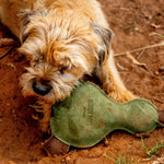 A small, scruffy brown dog lies on the ground with a green, plush toy shaped like Paul the Platypus from Georgie Paws. The toy, worn and dirty like the reddish-brown earth, hints at sustainable materials. The dog's fur is tousled amid scattered leaves and a patch of grass nearby.