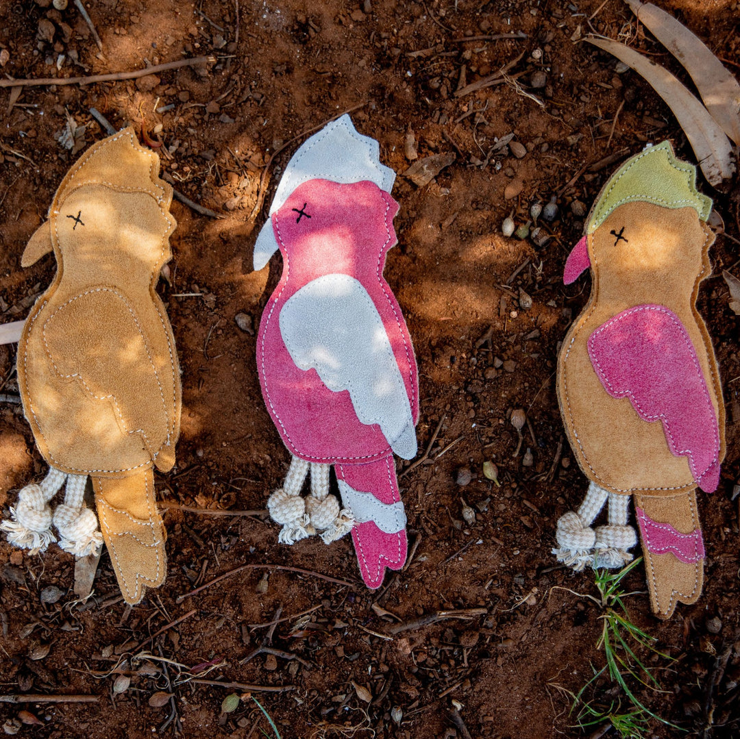 Three vibrant, handmade dog toys named Gav the Galah from Georgie Paws rest on a brown, earthy ground. The left toy is tan, the middle one is pink with white and gray details, and the right toy showcases pink with green accents. Each features stitched eyes and knotted string legs. Small twigs and leaves are scattered around them.