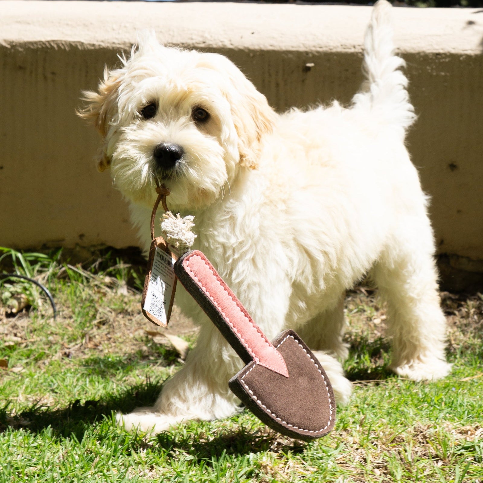 A fluffy puppy with curly fur stands on green grass, holding the Trusty Trowel - Dog Toy by Georgie Paws, shaped like a brown and pink garden trowel. Sunlight brightens the scene, and a low beige wall is in the background.