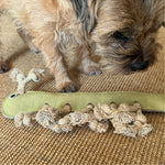 A small, scruffy dog with a brown and black coat stands on a textured brown surface. The dog looks down at Gerti the Grub - pear, a green, elongated plush toy made from environmentally friendly materials with multiple knotted rope fringes by Georgie Paws. The toy resembles a caterpillar and is positioned in front of its paws.