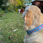 A golden retriever with a Georgie Paws Botanic Orchid Collar adorned with red and pink flowers sits on a lawn facing away from the camera. The scene is a backyard with lush greenery, various plants, and a red brick house in the background. A hand-crafted brass chain gleams subtly against the clear blue sky with some clouds.