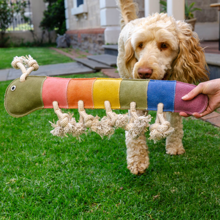 A fluffy, light brown dog stands on green grass, sniffing the Georgie Paws Giant Rainbow Gerti for Giant Dogs—an eco-friendly toy with rope legs. A person holds the colorful toy in front of the pup; a house and pathway appear in the background.