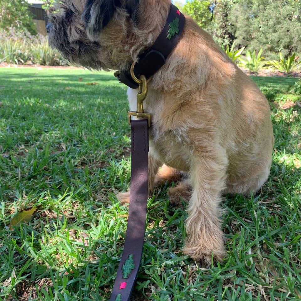 Polo Lead in Myrtle by Georgie Paws, dark brown buffalo leather dog lead with green and pink stitching and brass clip
