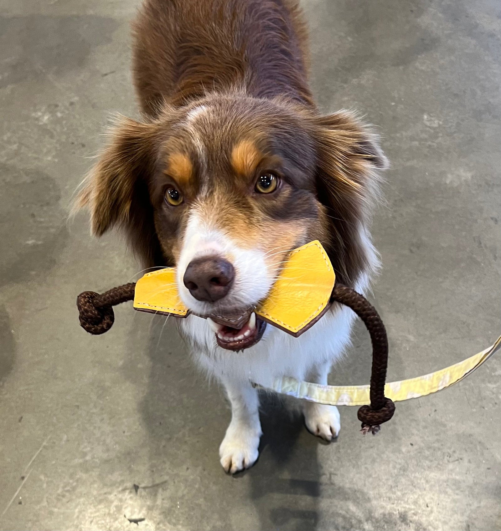 A second view of the Christmas Tree Chew Toy - Wheat by Georgie Paws, showing the soft golden-tan buffalo leather and stitching detail.