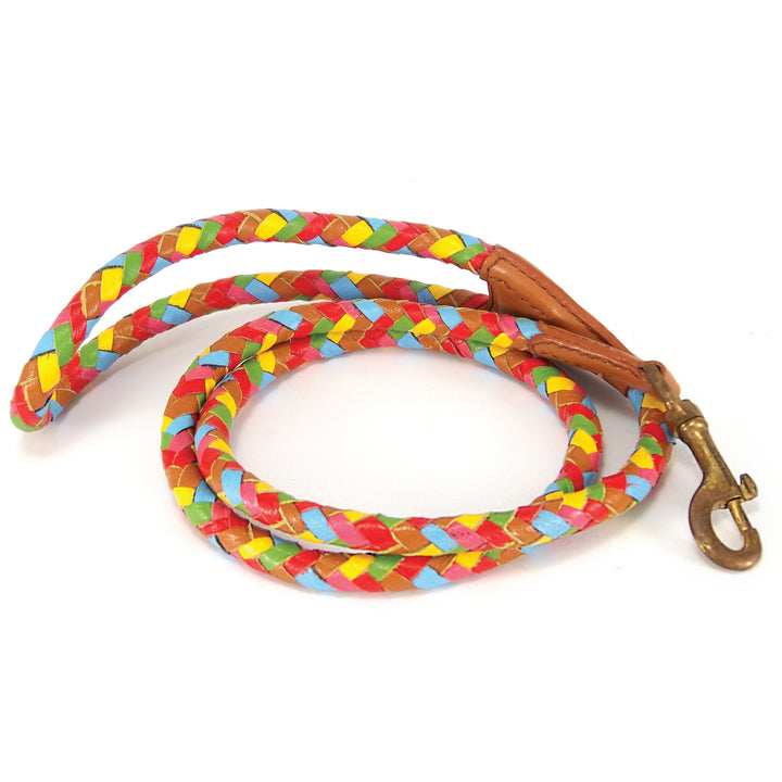 Tonto Lead - Lollypop - Georgie Paws