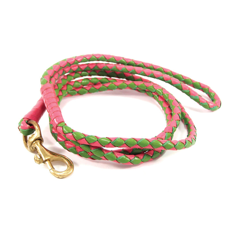 Carnival Lead - pink+green - Georgie Paws
