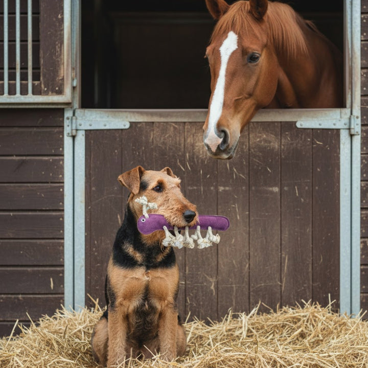 A brown and black dog sits on straw, holding the eco-friendly "Gerti the Grub - purple" dog toy by Georgie Paws. Behind it, a brown horse with a white blaze looks out from a stable window set against dark wooden walls.