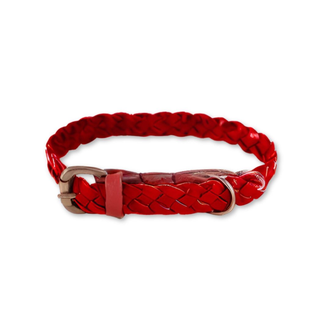 A braided Windsor Collar - Red made of Buffalo Leather with a metallic buckle, isolated on a white background, showcasing a casual yet stylish accessory by Georgie Paws.