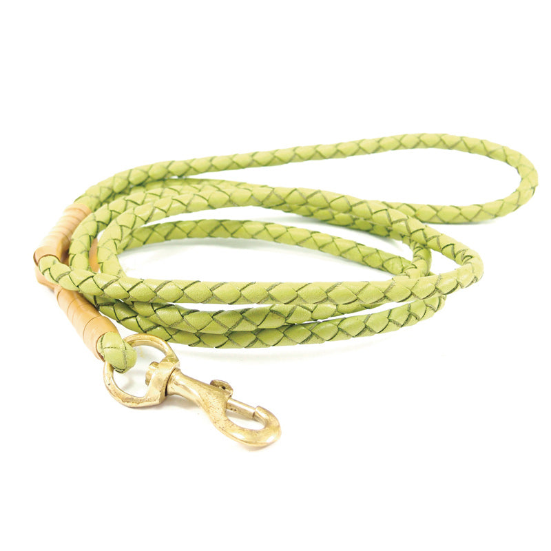 Windsor Lead - pear - Georgie Paws