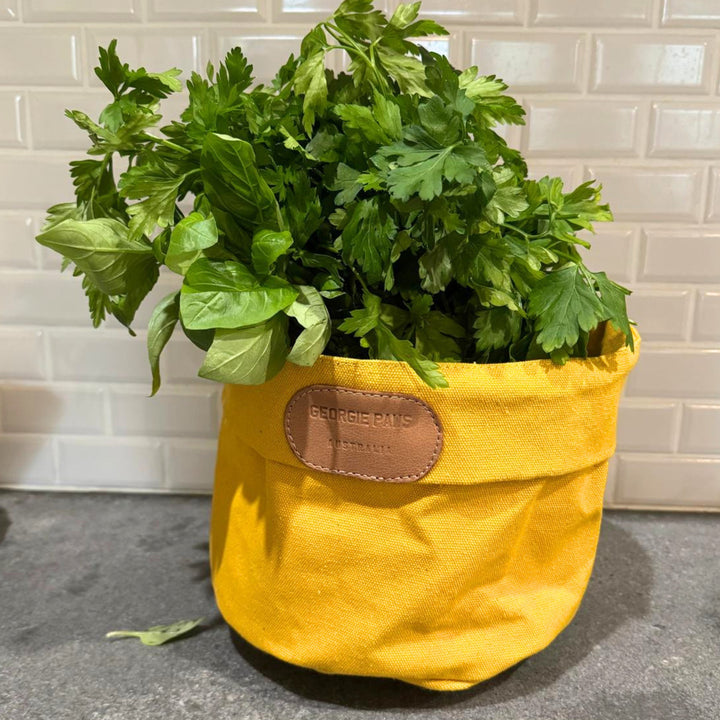 Fresh green herbs, like basil and parsley, fill the bright yellow Georgie Paws Toy Storage Bucket, which sits on a gray countertop with a white subway tile backsplash behind it.