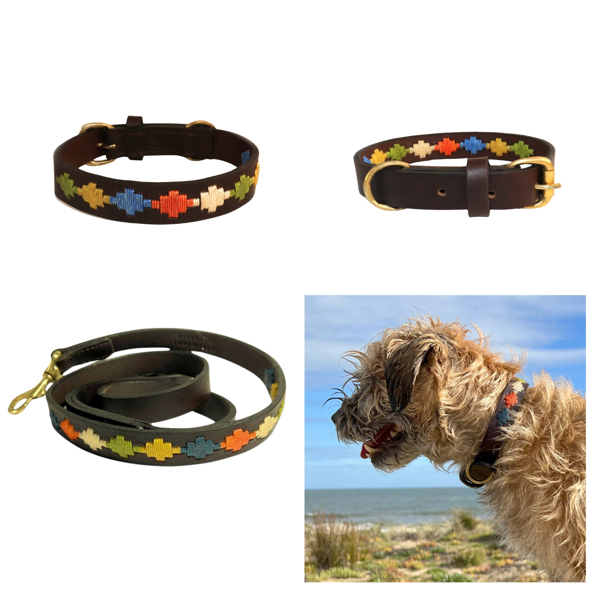 Four images: three different Polo Bark Collars by Georgie Paws with colorful paw print designs, and a scruffy dog wearing a similar collar at a sunny beach, looking playful.