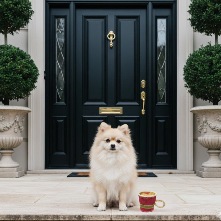 A fluffy Pomeranian sits on a stone porch before black double doors framed by topiary trees. Beside the dog is the Georgie Paws Baby Chino Dog Toy and a red coffee cup with a gold rim.