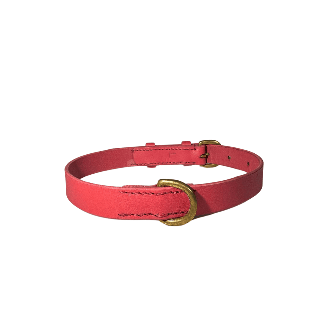 Bald Collar - Hot Pink - Georgie PawsBald Collar - Hot PinkCollarGeorgie Paws
