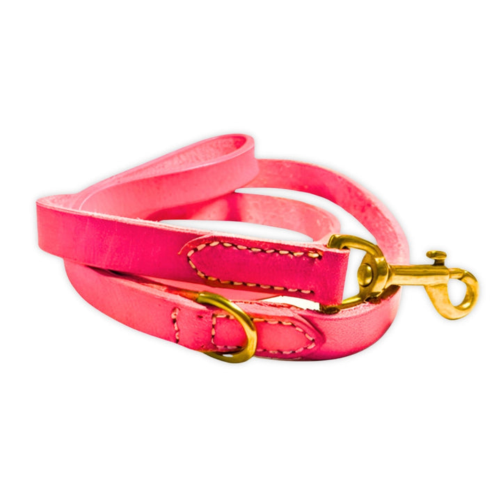 The Bald Lead Hot Pink by Georgie Paws is a coiled, pink dog leash made from vegetable tanned buffalo leather with gold metal hardware, including a clasp and a D-ring. Visible stitching along the edges reinforces the leather, and the leash is displayed on a white background.