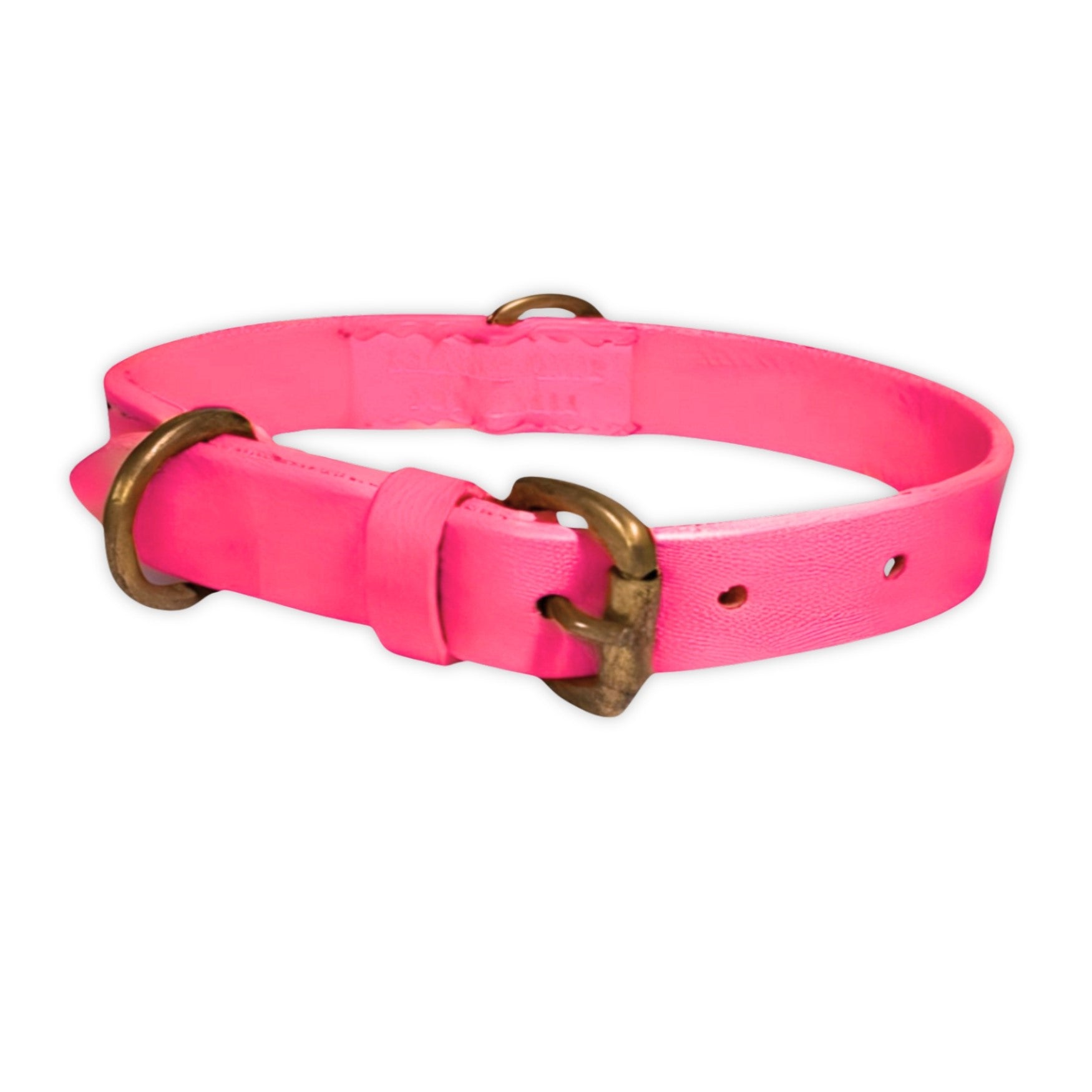 A vibrant Georgie Paws Bald Collar Hot Pink dog collar with a golden buckle and loop, featuring an adjustable band and a small loop for tags, isolated on a white background.