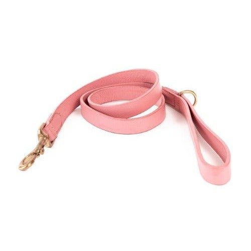 A Georgie Paws Bald Lead Pink with a gold clasp and Lyndal Loop isolated on a white background. The leash is coiled in the center and has a smooth texture.