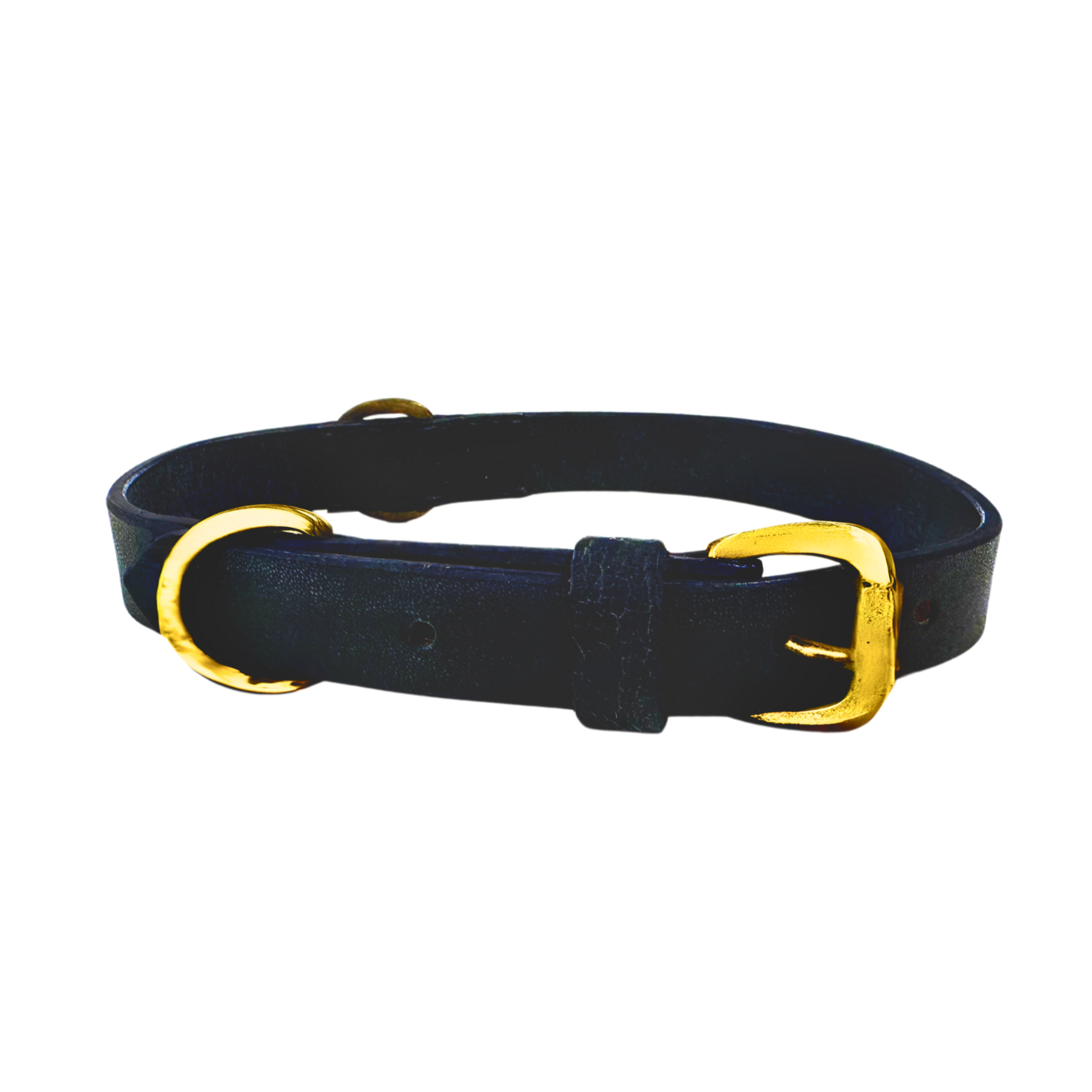 A navy Bald Collar by Georgie Paws featuring smooth, high-quality Buffalo leather with a shiny gold buckle and a gold D-ring. The collar is displayed flat against a white background, showcasing its polished detailing including two small holes for size adjustments.