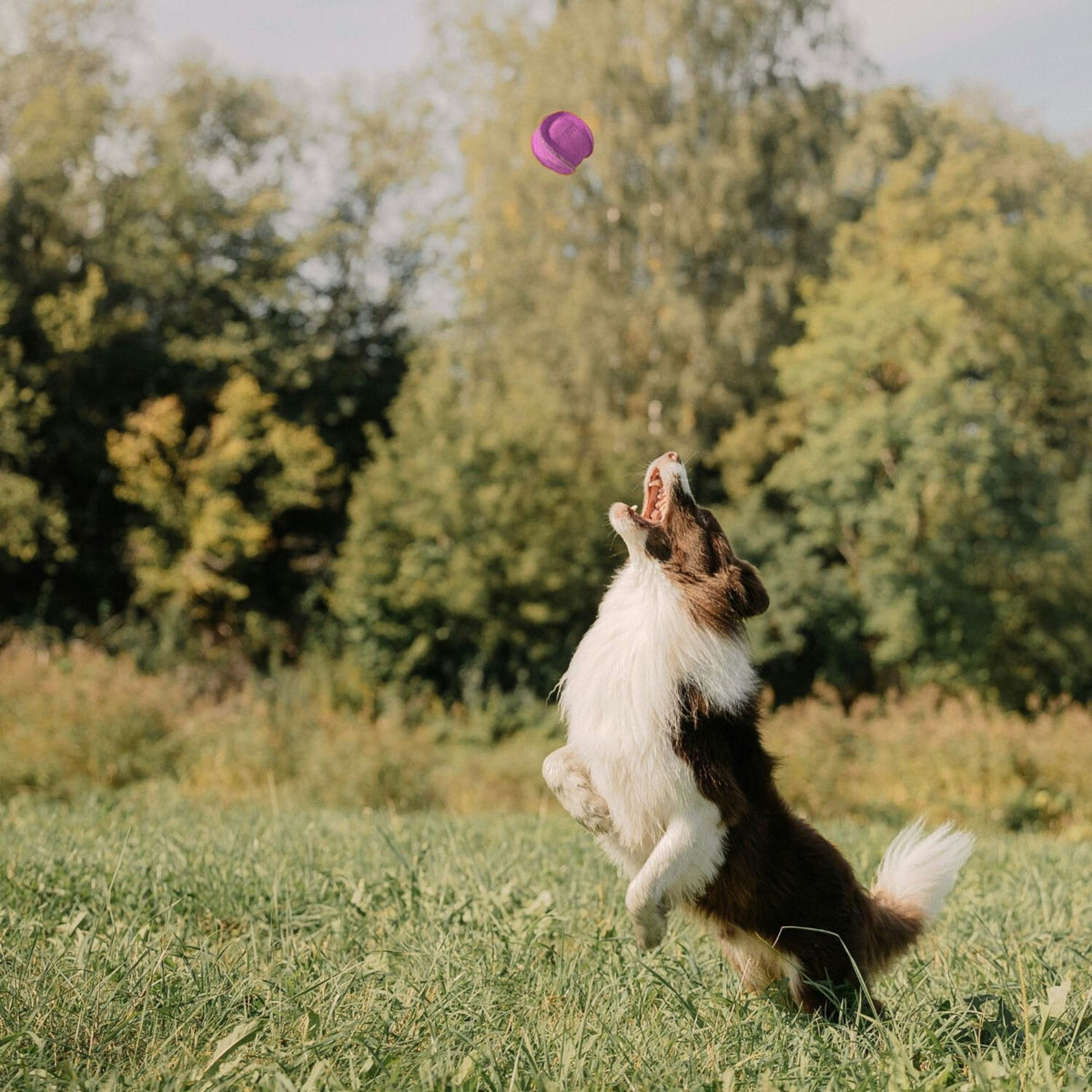 Hot Pink Georgie Paws Ball, a handmade round suede dog toy
