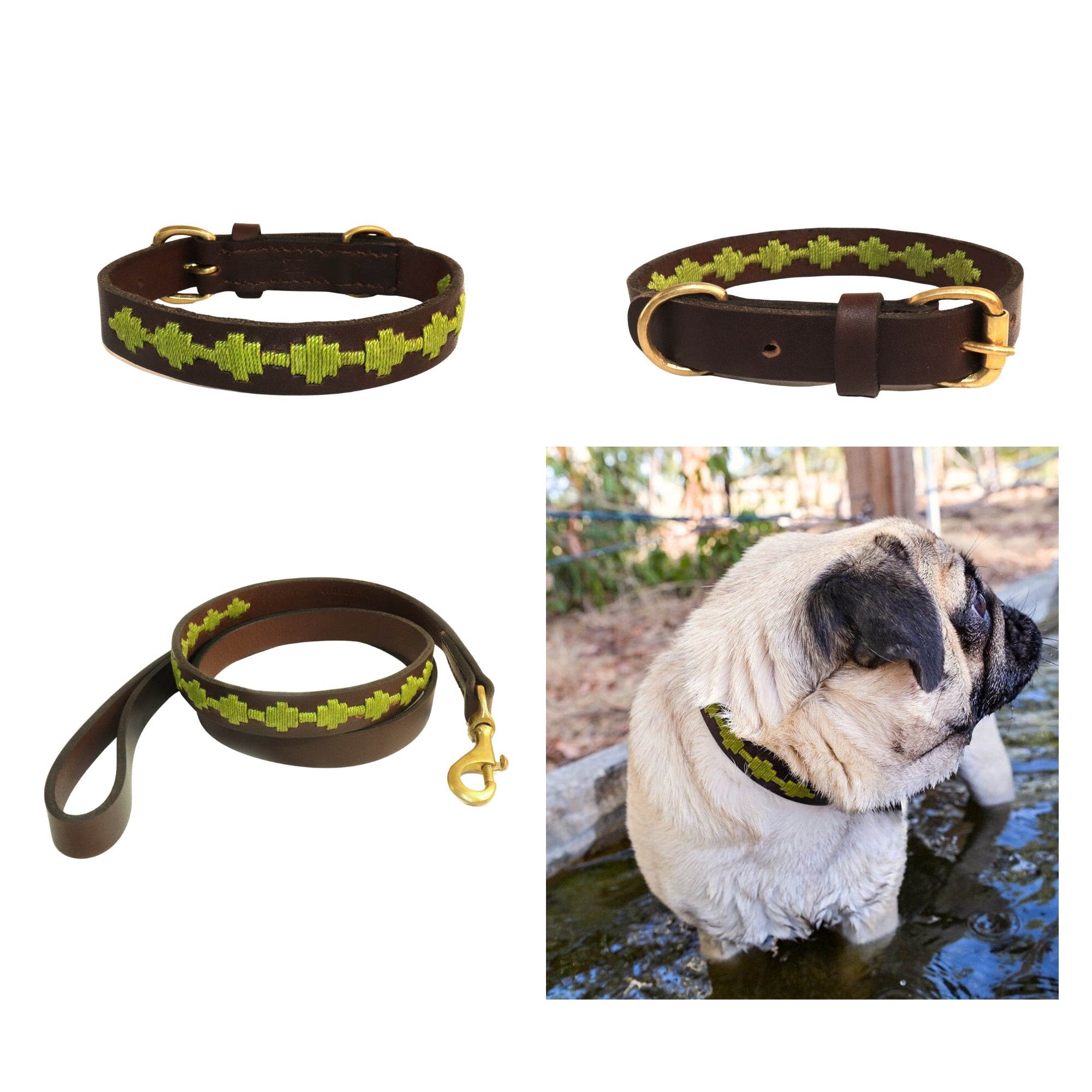 A collage featuring a pug wearing a Georgie Paws Polo Bark Collar - grass pack, accompanied by images of the matching collar and leash set. The leash has a brown Buffalo Leather handle and brass hardware clasp.