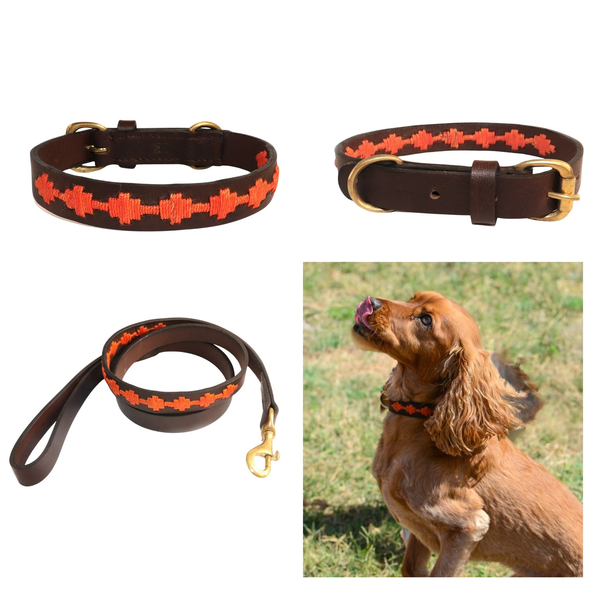 Collage of images featuring dog accessories and a dog. Top left and right show a brown Buffalo Leather dog collar with red geometric patterns. Bottom left displays a matching leash with brass hardware. Bottom Georgie Paws Polo Bark Collar - ochre pack.