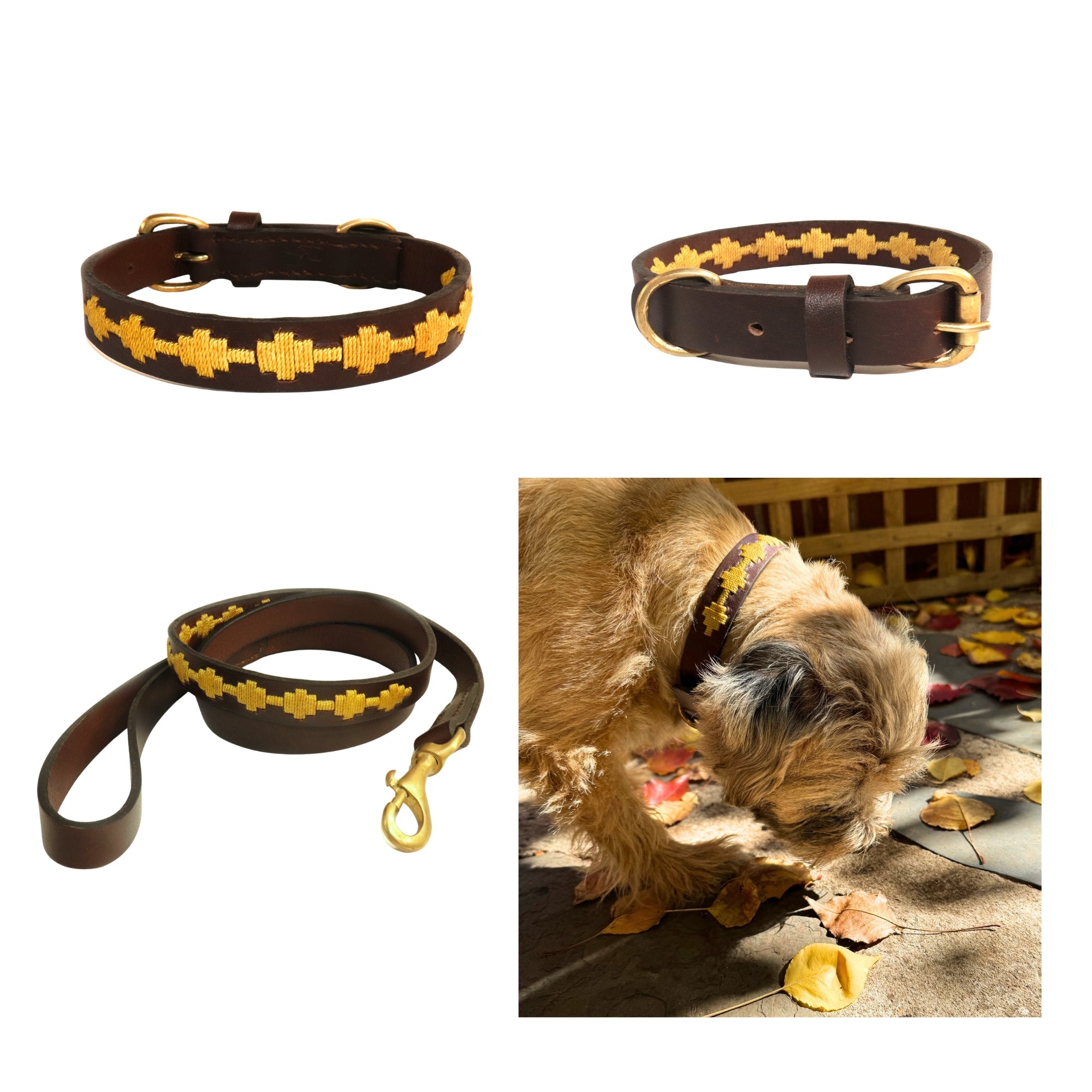 Collage of three images: two showcasing a Georgie Paws handmade Polo Bark Collar - wheat pack and matching leash with a yellow taxi pattern, and one image of a small dog wearing the collar and sniffing fallen leaves.