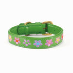 A Botanic Basil Collar from Georgie Paws, made of green buffalo leather and adorned with embroidered flower patterns, featuring a gold-tone buckle and loop, isolated on a white background.