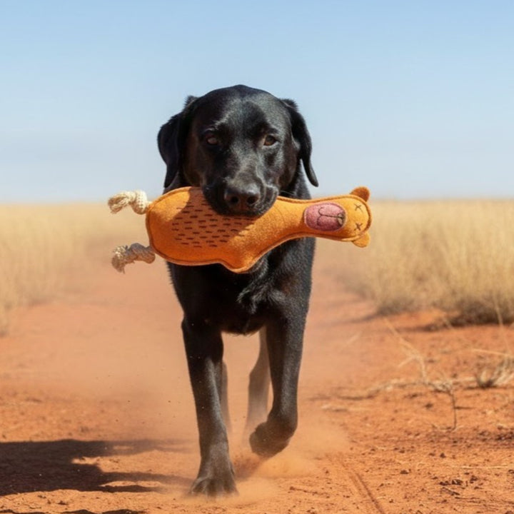 A black Labrador retriever trots along a dusty red path, carrying a Georgie Paws Baz the Bear - orange dog toy in its mouth. Dry grass fields and a clear blue sky set the scene for playful outdoor adventure.