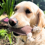 A golden retriever with light fur is holding Georgie Paws' Baz the Bear - brown, an eco-friendly plush toy made from sustainable buffalo leather with white rope ends. The dog is outdoors, surrounded by green plants and a garden setting, looking slightly to the side.