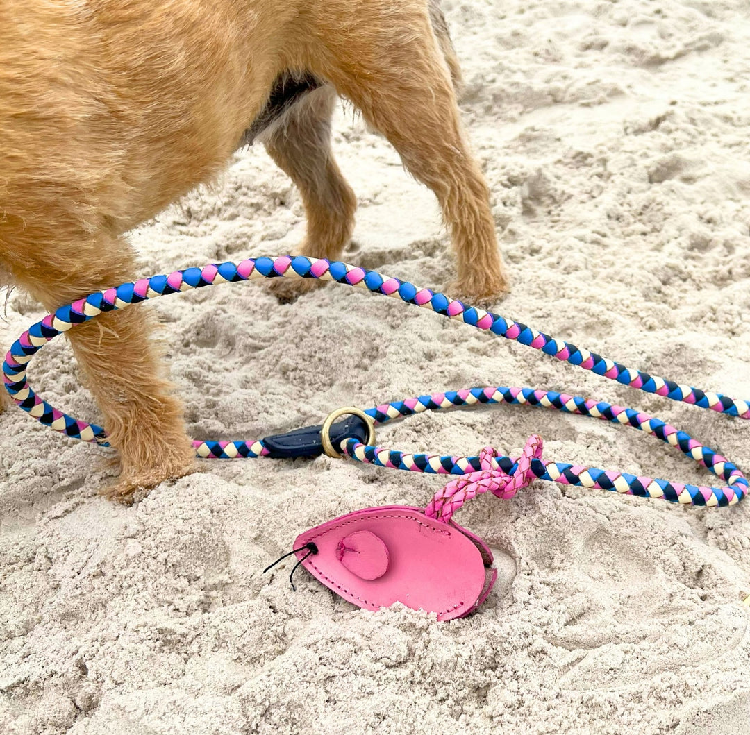 A dog's furry legs are seen on a sandy beach, next to the Georgie Paws Beach Lead and a pink leather dog waste bag holder, suggesting the pup is enjoying a seaside stroll.