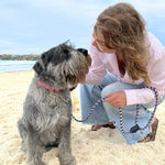 A woman in a pink shirt kneels on a sandy beach, engaging in a loving stare with her gray schnauzer dog, both enjoying a peaceful moment by the sea, connected by their Georgie Paws Beach Lead.