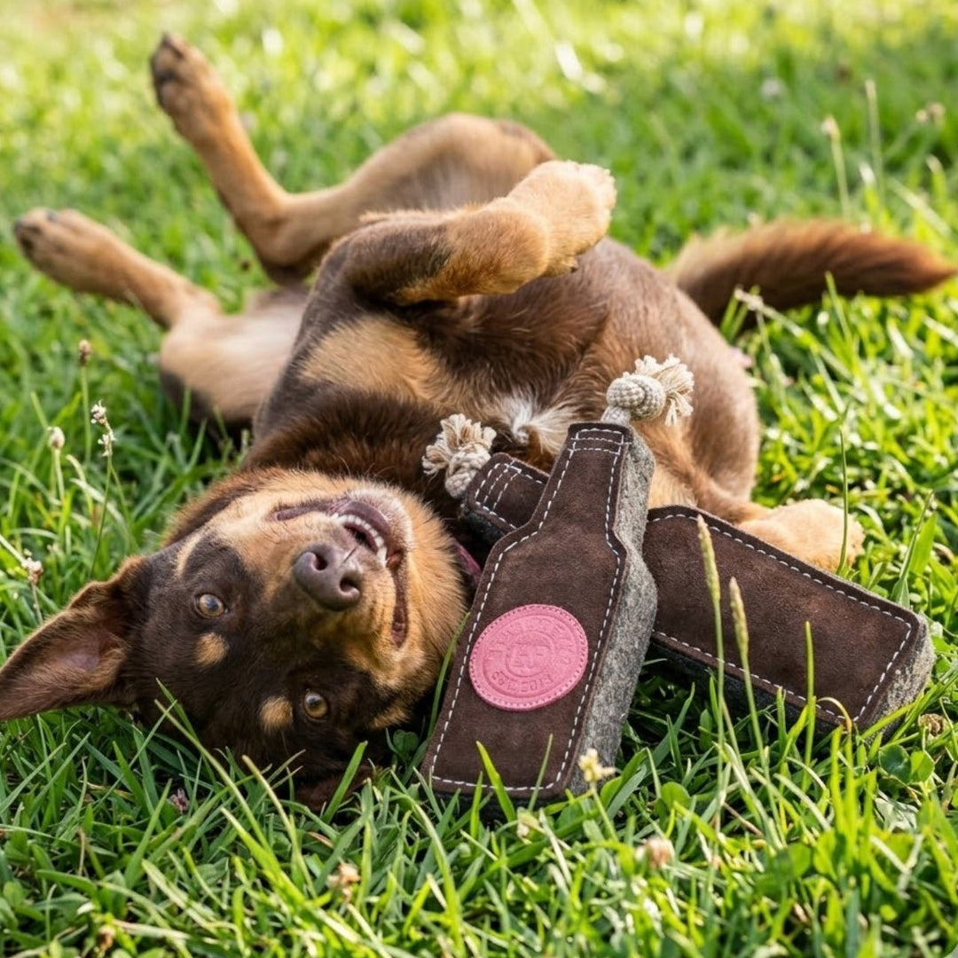 Bevvy Dog Toy - Georgie PawsBevvy Dog ToytoyGeorgie Paws