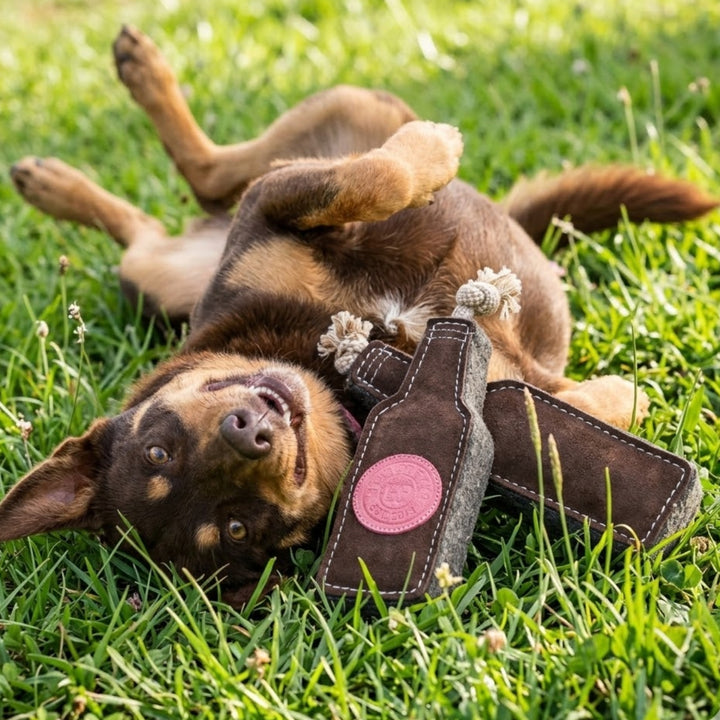 A brown dog lies happily on green grass, holding two Georgie Paws Bevvy Dog Toys—one featuring a pink patch—between its paws. The playful outdoor scene is sunlit, highlighting the compostable toys and the dog's joy.
