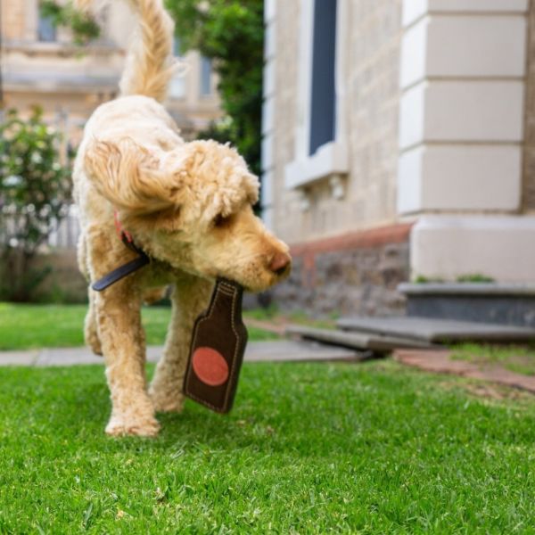 Another view of the Georgie Paws Bevvy Dog Toy, a handmade bottle-shaped toy with a knotted rope