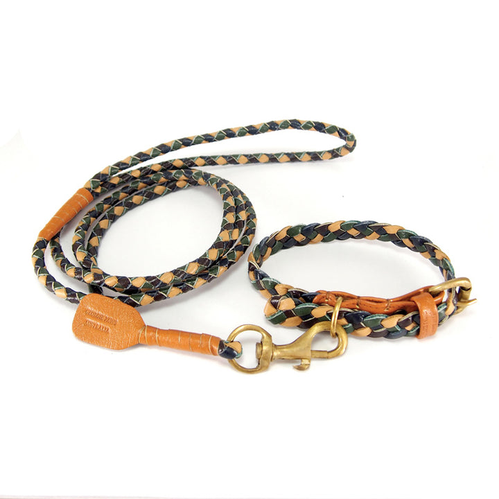 Braided dog leash and collar set with leather accents on a white background