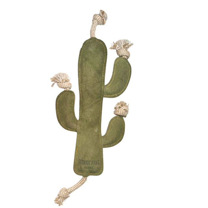 Back view of the Georgie Paws Cactus Dog Toy, a handmade cactus-shaped dog toy
