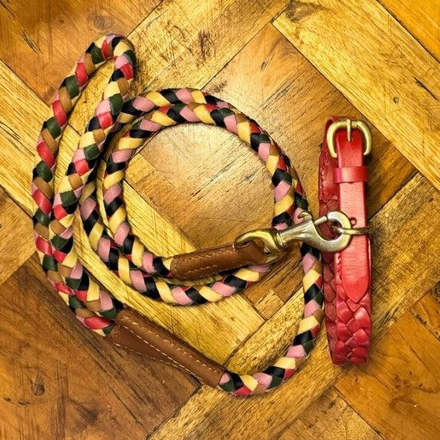 A braided dog leash with red, yellow, pink, and green strands plus brown leather and brass accents is coiled on a wooden floor. Next to it lies a matching Georgie Paws Casey Collar - Red with a brass buckle.